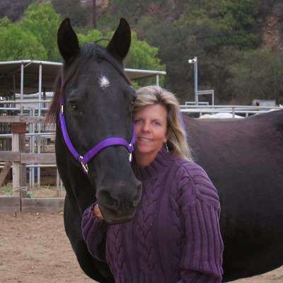 Western Trail Rides | 559 S Rice Rd, Ojai, CA 93023, USA | Phone: (805) 640-8635