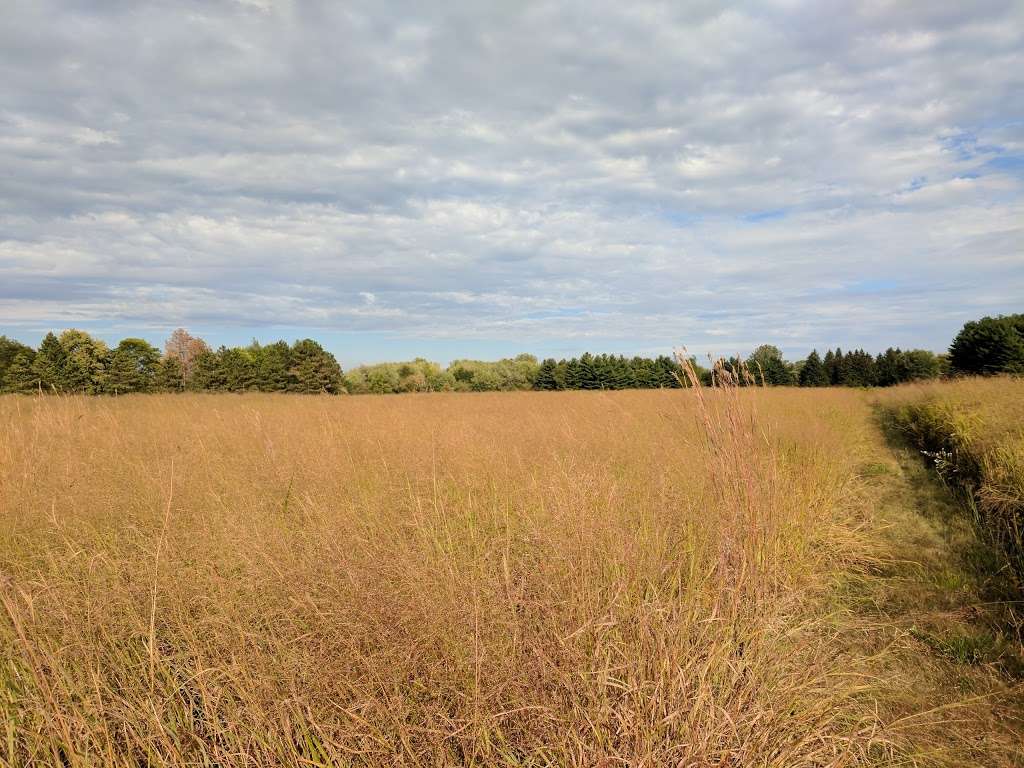 Fermilab Dog Training Area | Batavia Rd, Warrenville, IL 60555, USA | Phone: (630) 840-4845