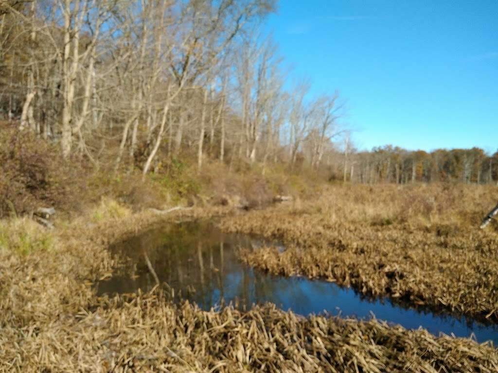 Sasso Tract / Beaver Brook | Boonton, NJ 07005, USA