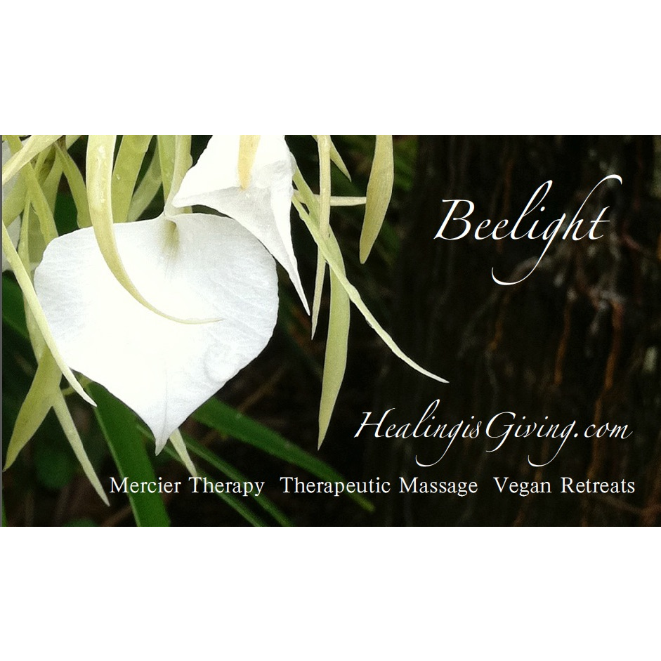 Beelight | 1165 Magnolia Ave, Larkspur, CA 94939 | Phone: (415) 226-9240