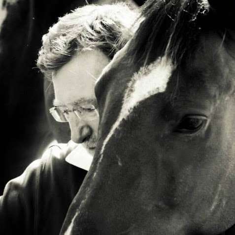 Total Contact Equine Solutions | 46 Victoria Rd, Golden Green, Tonbridge TN11 0LR, UK | Phone: 07792 722625