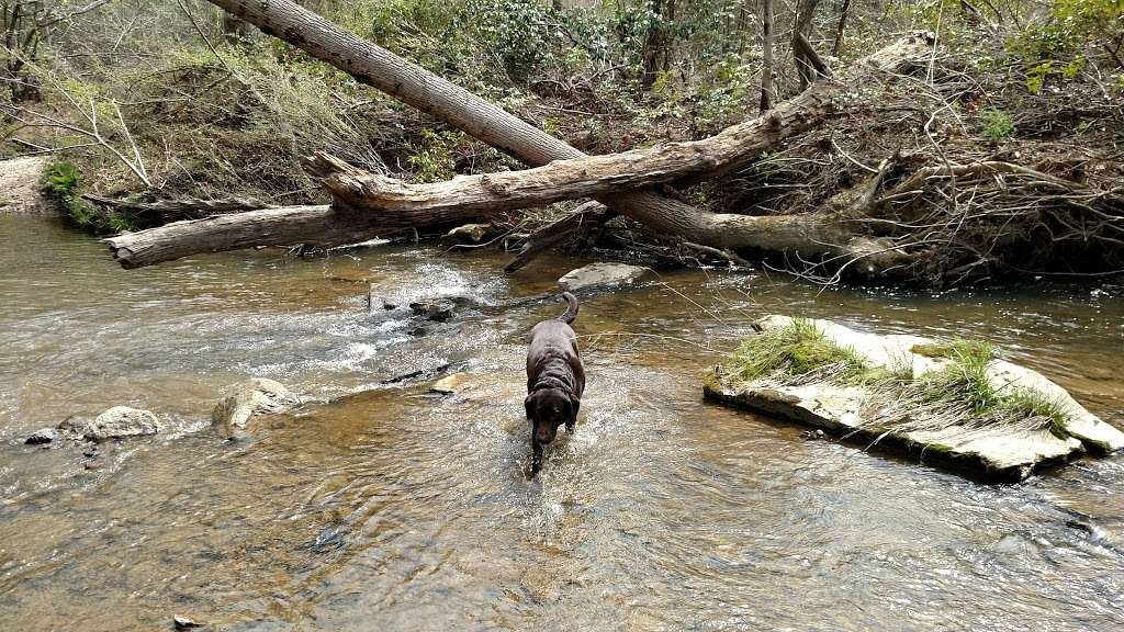 Rachel Carson Conservation Park | 22201 Zion Rd, Brookeville, MD 20833 | Phone: (301) 670-8080