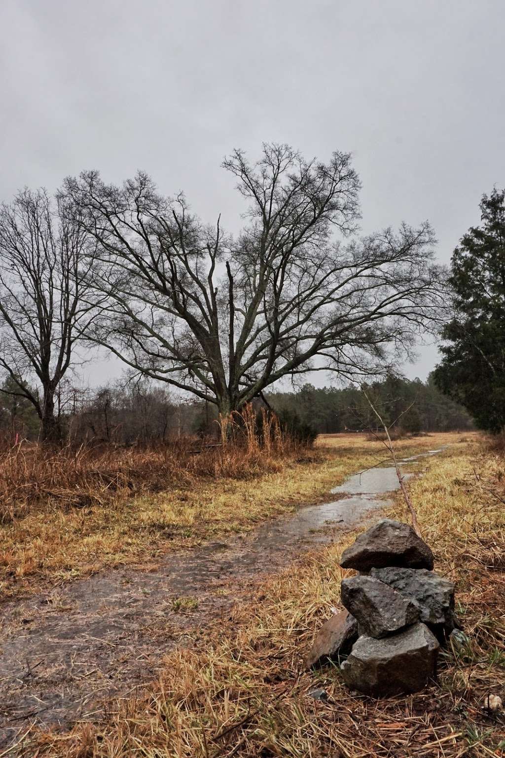 Rock Hill Blackjacks Heritage Preserve/Wildlife Management Area | Rock Hill, SC 29730 | Phone: (803) 734-3886