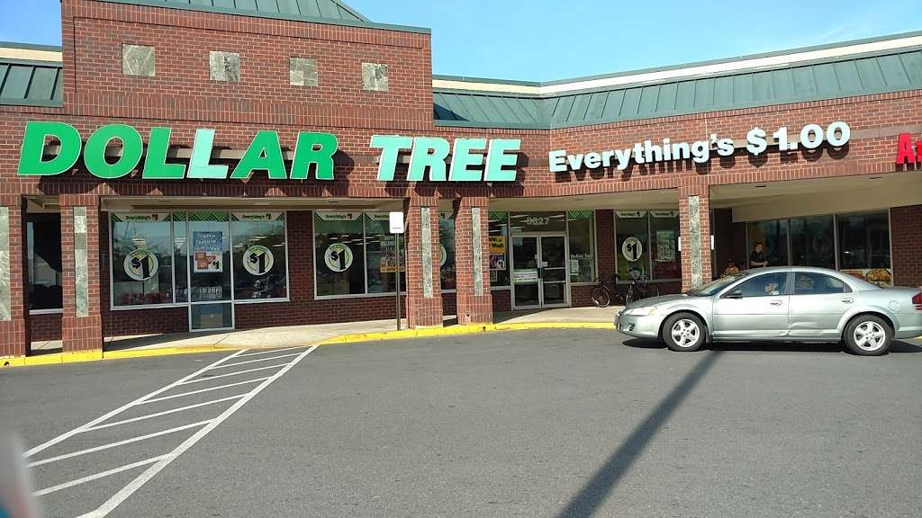 Dollar Tree | 8829 Branch Ave, Clinton, MD 20735 | Phone: (301) 719-1003