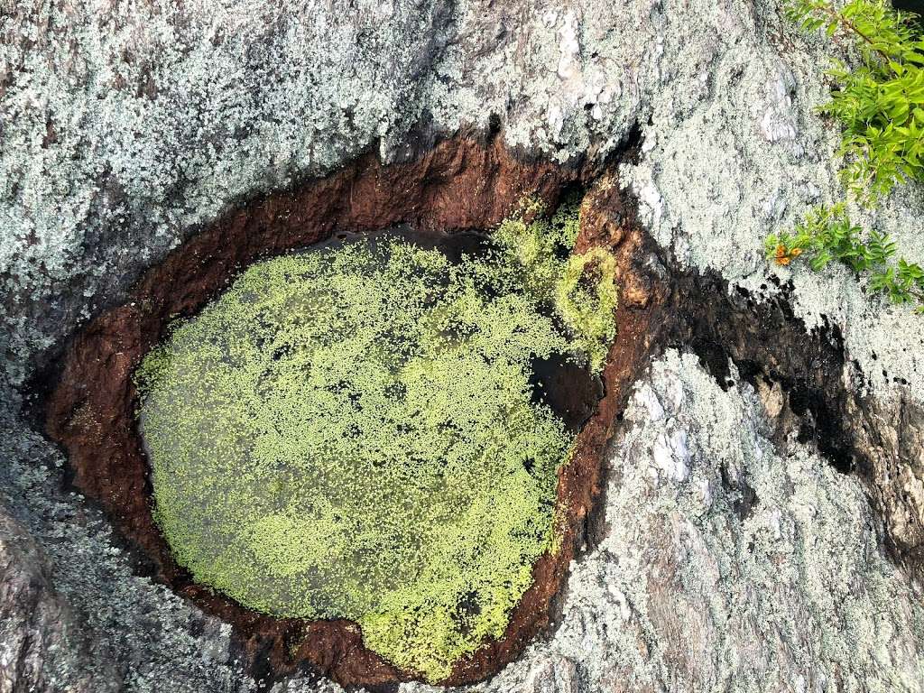 Bear Island | Billy Goat Trail Section A, Potomac, MD 20854, USA