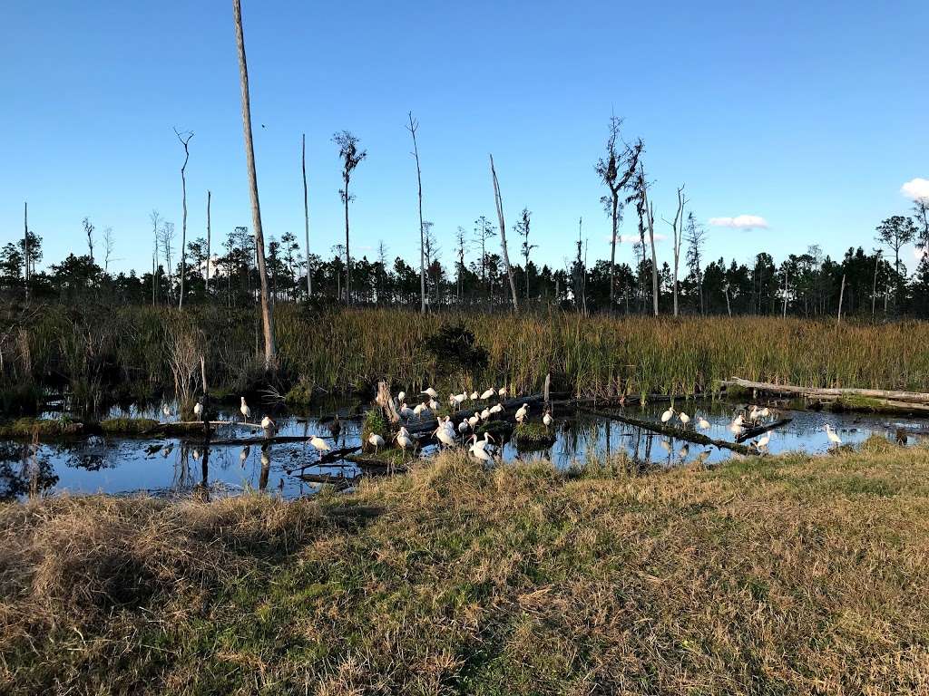 Shingle Creek Trail: Pine Island East Loop | Orlando, FL 32837