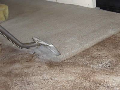 Euless TX Carpet Cleaning | 12101 Trinity Blvd, Euless, TX 76040, USA | Phone: (972) 372-4340