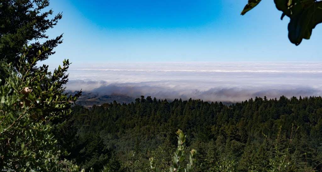 El Corte de Madera Creek Open Space Preserve parking lot | 16040 CA-35, Redwood City, CA 94062, USA