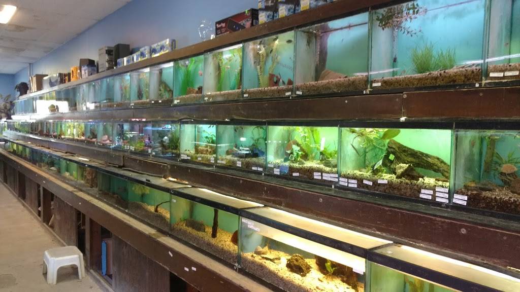 Azalea Aquariums | 5112 Richmond Henrico Turnpike A, Richmond, VA 23227 | Phone: (804) 329-5126