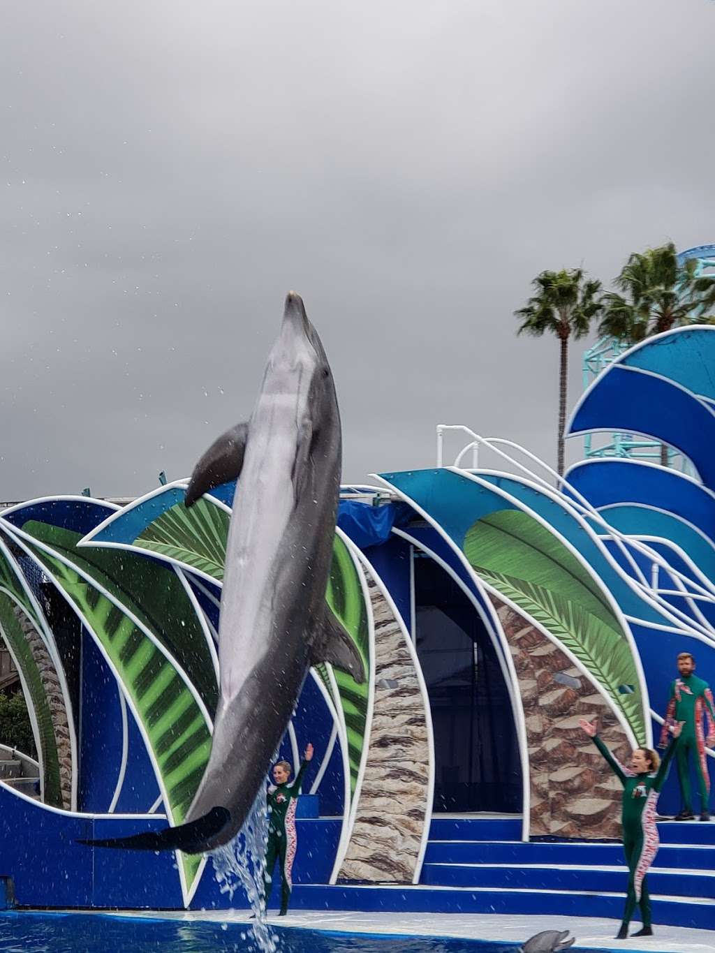 Dolphin Amphitheater | San Diego, CA 92109, USA