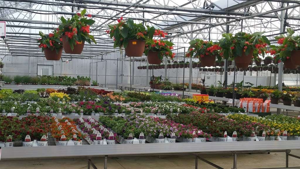 Blooms Greenhouse Growers Outlet | 719 Hupp Rd, La Porte, IN 46350, USA | Phone: (219) 393-3607