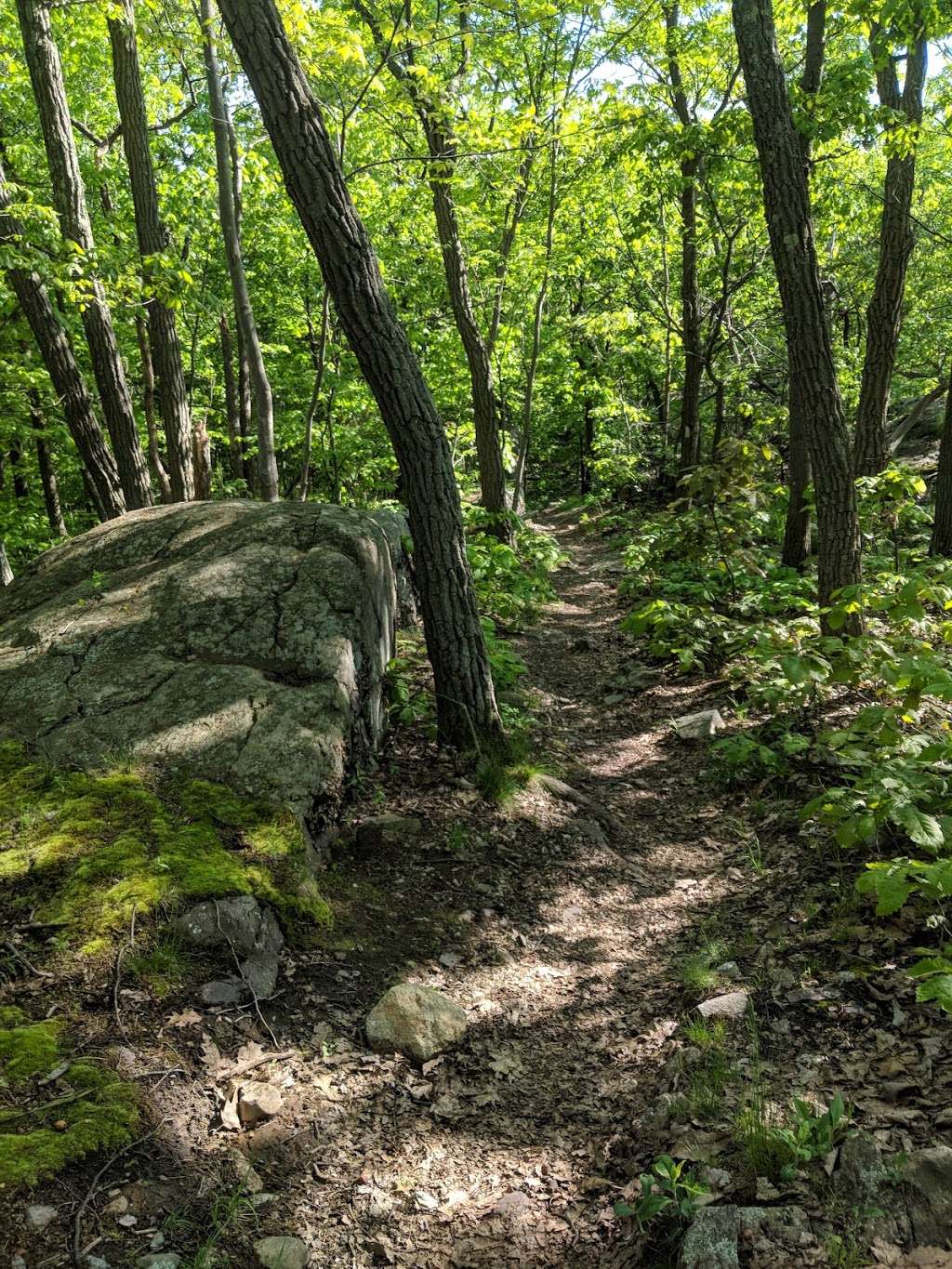 Village Vista Trail Jct. West | Appalachian Trail, Warwick, NY 10990, USA