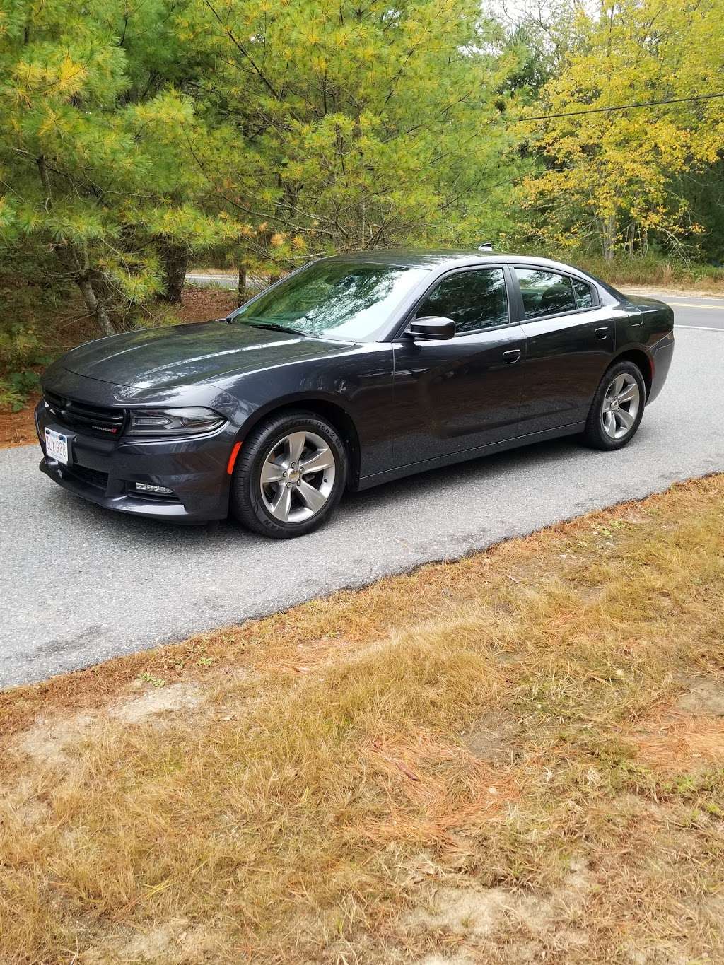 LinerMan | 36 Winthrop St, Kingston, MA 02364, USA