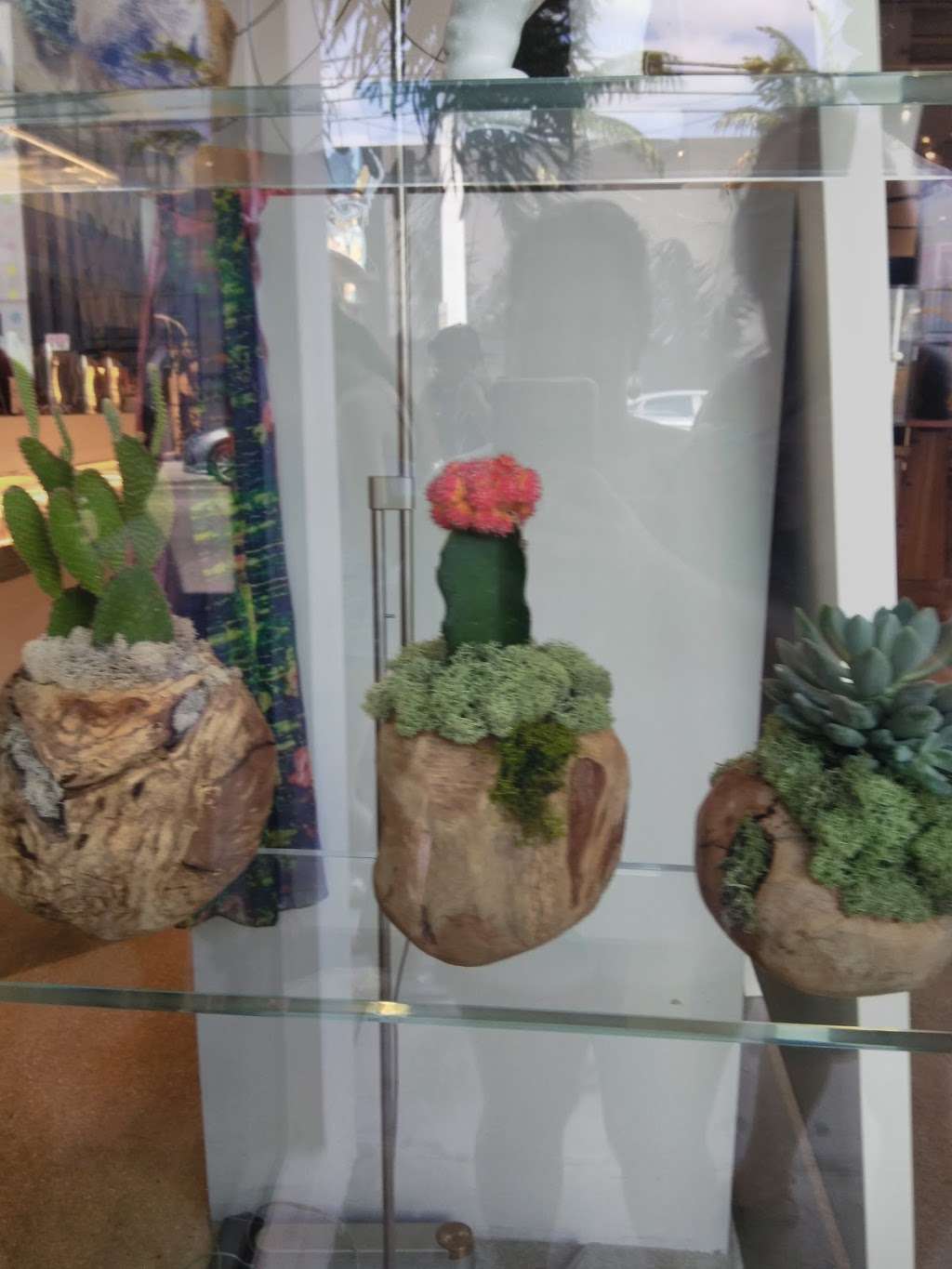 Calle Ocho Plaza | 455 SW 8th St, Miami, FL 33130, USA Calle Ocho Plaza | 455 SW 8th St, Miami, FL 33130, USA