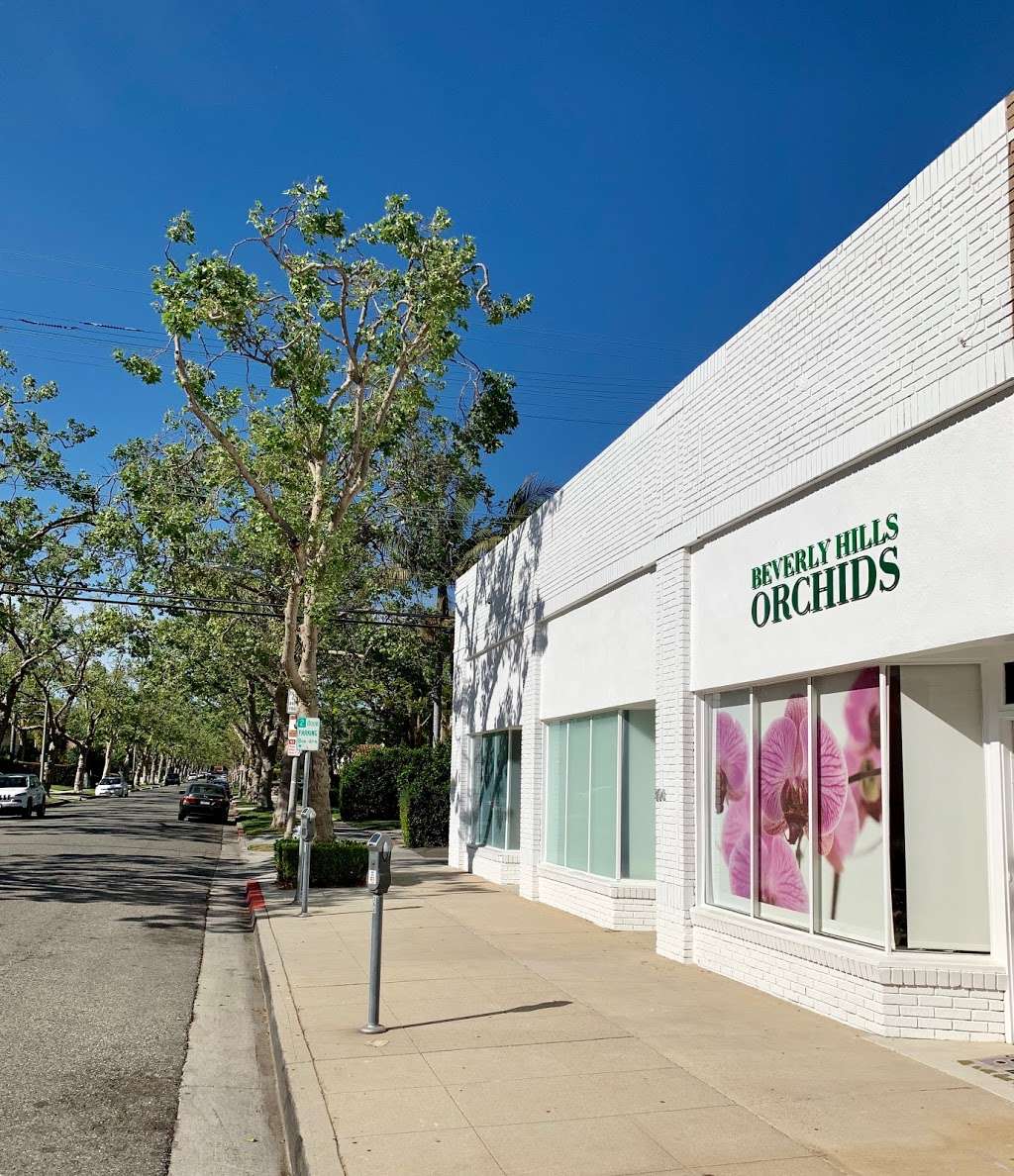 Beverly Hills Orchids | 368 S Maple Dr, Beverly Hills, CA 90212 | Phone: (310) 503-1200