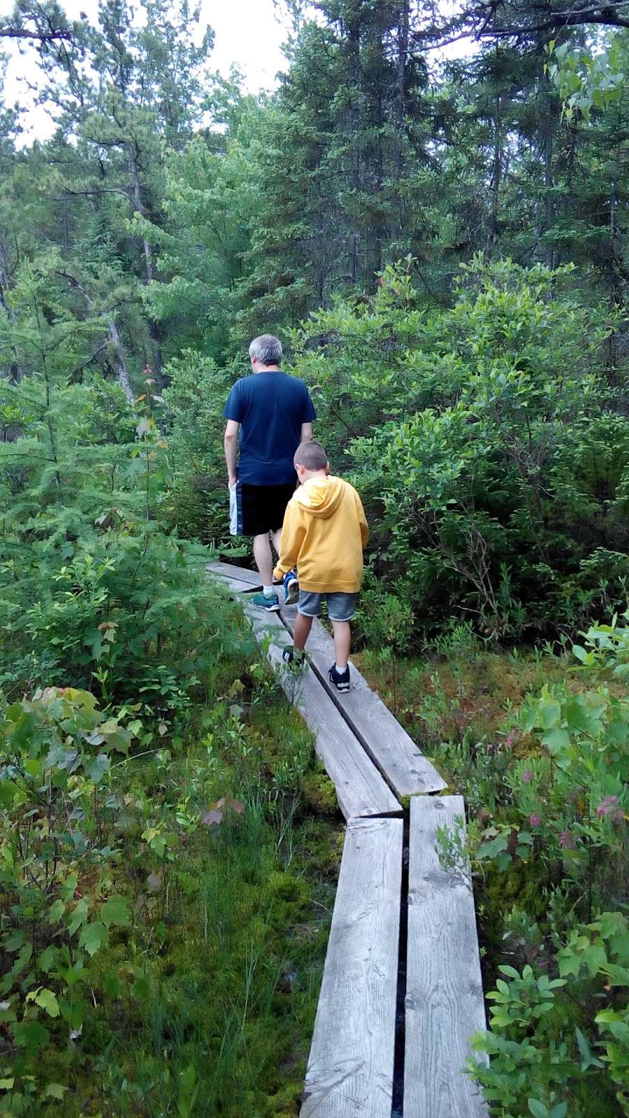 Ponemah Bog Wildlife Refuge | Amherst, NH 03031, USA