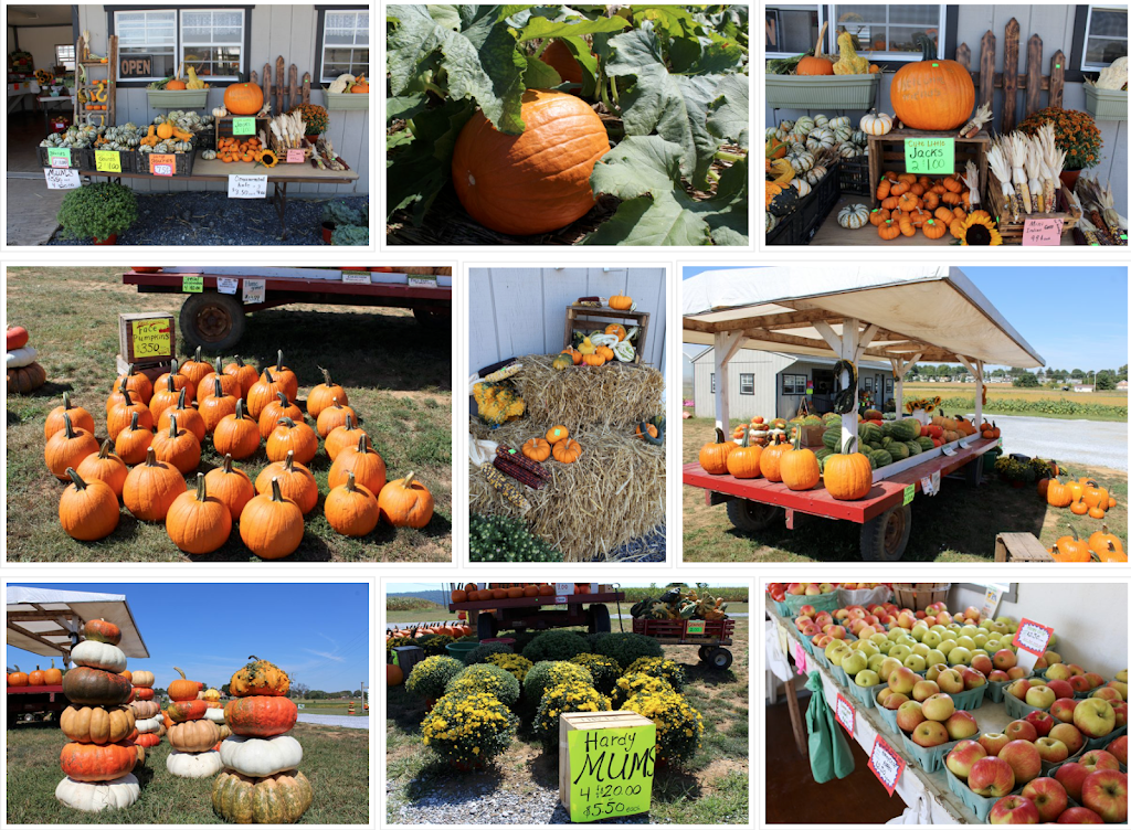 Garden Spot Farm Market | 524 New Holland Rd, New Holland, PA 17557, USA | Phone: (717) 354-5944