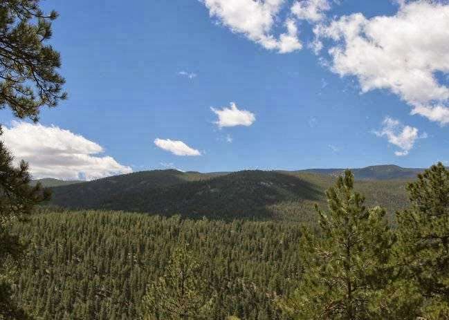 Bailey View Cabin | 61141 Hwy 285 (Cabin is 1/4 Mile South of Office, Bailey, CO 80421, USA | Phone: (303) 330-0099