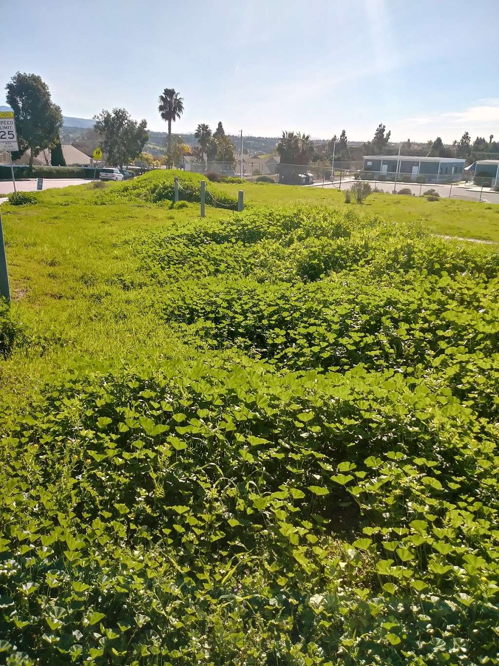 Bay Terraces Community Park | 7373 Tooma St, San Diego, CA 92139, USA | Phone: (619) 527-3419