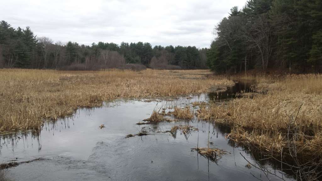 Hopbrook Marsh Conservation Land, udbury, MA 01776