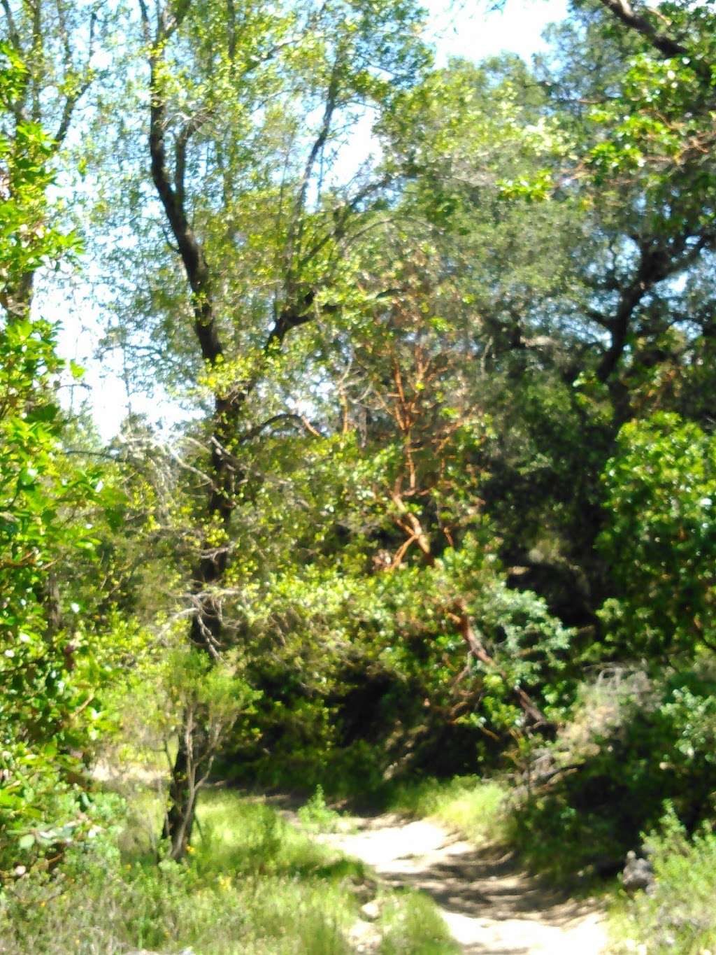 Marinwood Open Space | San Rafael, CA 94903, USA