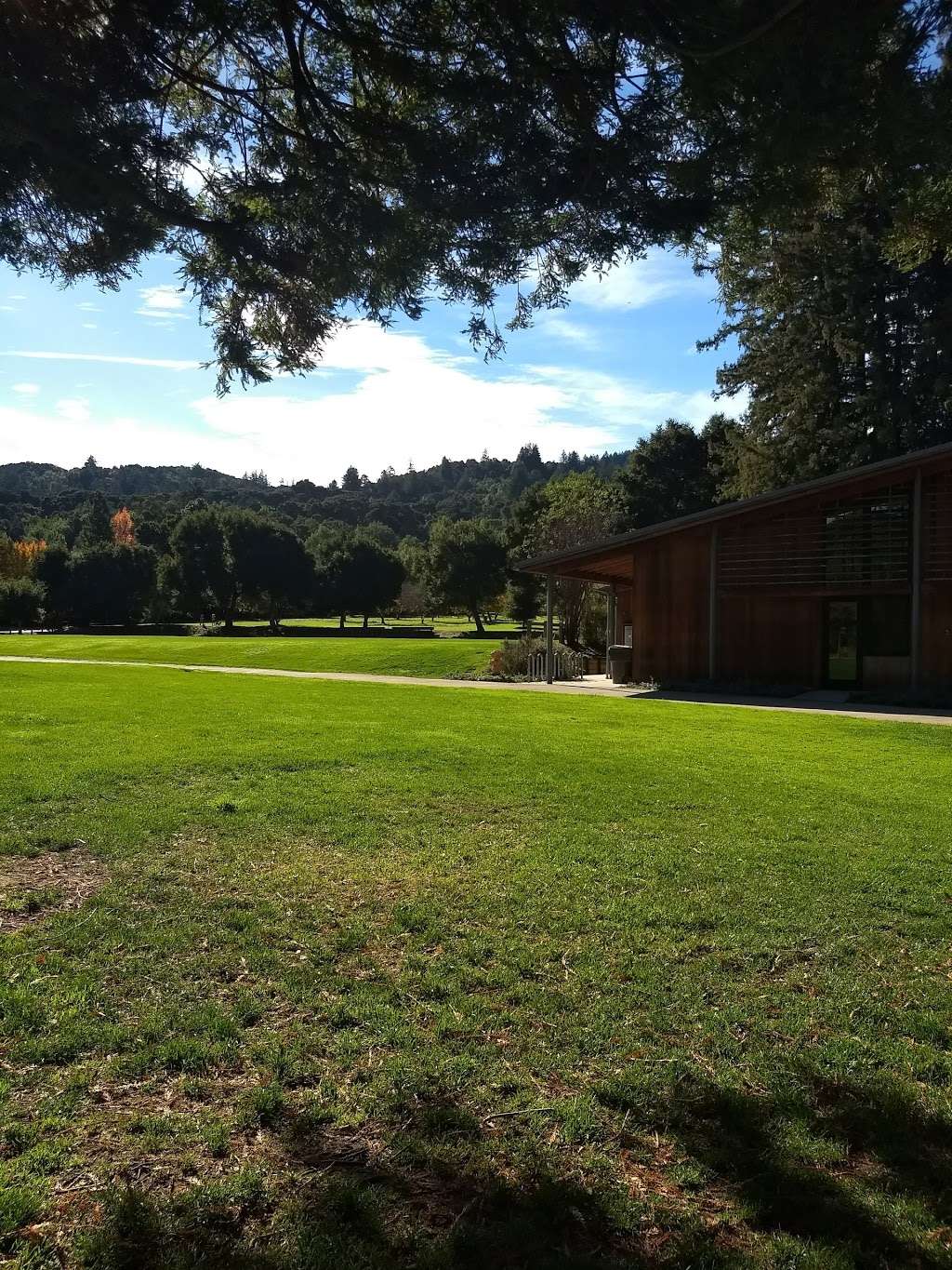 Little Peoples Park | 765 Portola Rd, Portola Valley, CA 94028 | Phone: (650) 851-1701