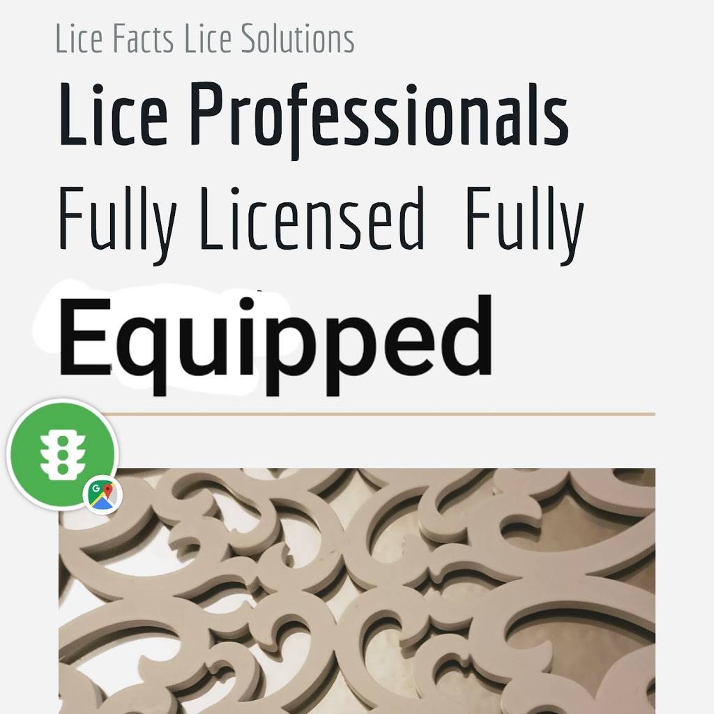 Lice "help" Professional | Northern California, Stockton, CA 95205 | Phone: (209) 290-8793