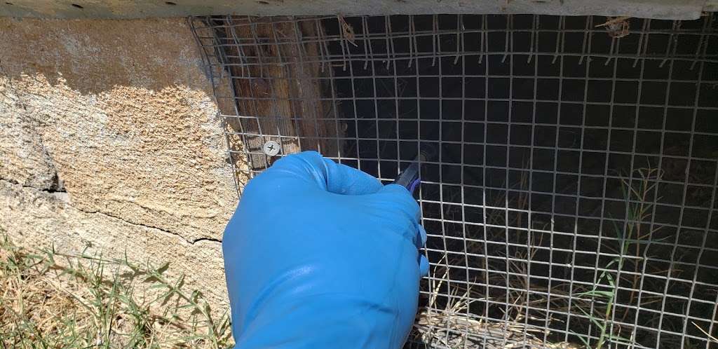 RED E Pest Prevention | 1469 Swift Ln, El Cajon, CA 92020, USA | Phone: (760) 681-6026