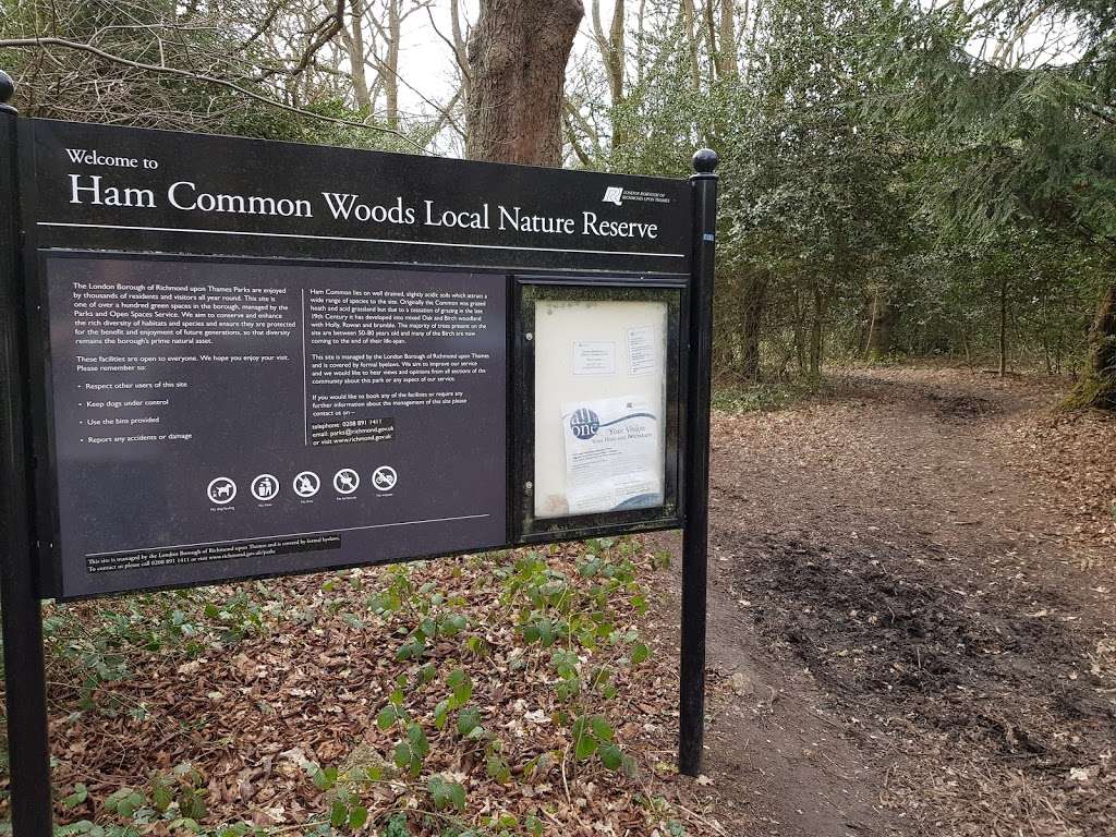 Ham Common Woods | Richmond TW10 5HG, UK