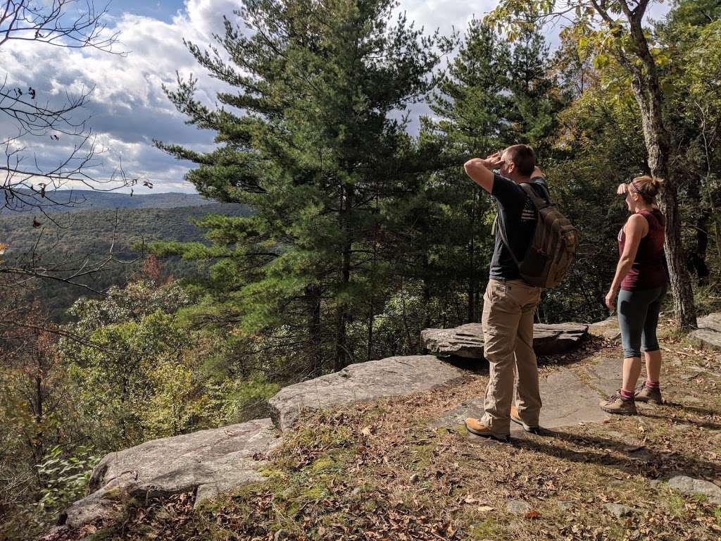 Tusten Mountain Trail | Narrowsburg, NY 12764, USA