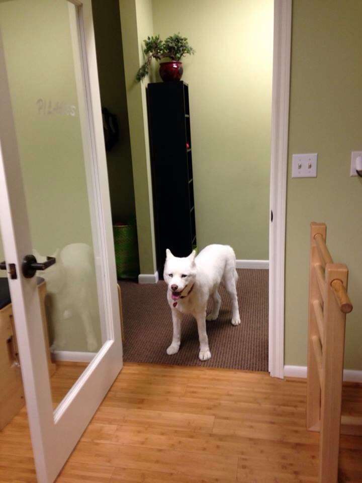 Happy Belly Studios LLC | 3562 W T C Jester Blvd, Houston, TX 77018, USA | Phone: (713) 398-8630