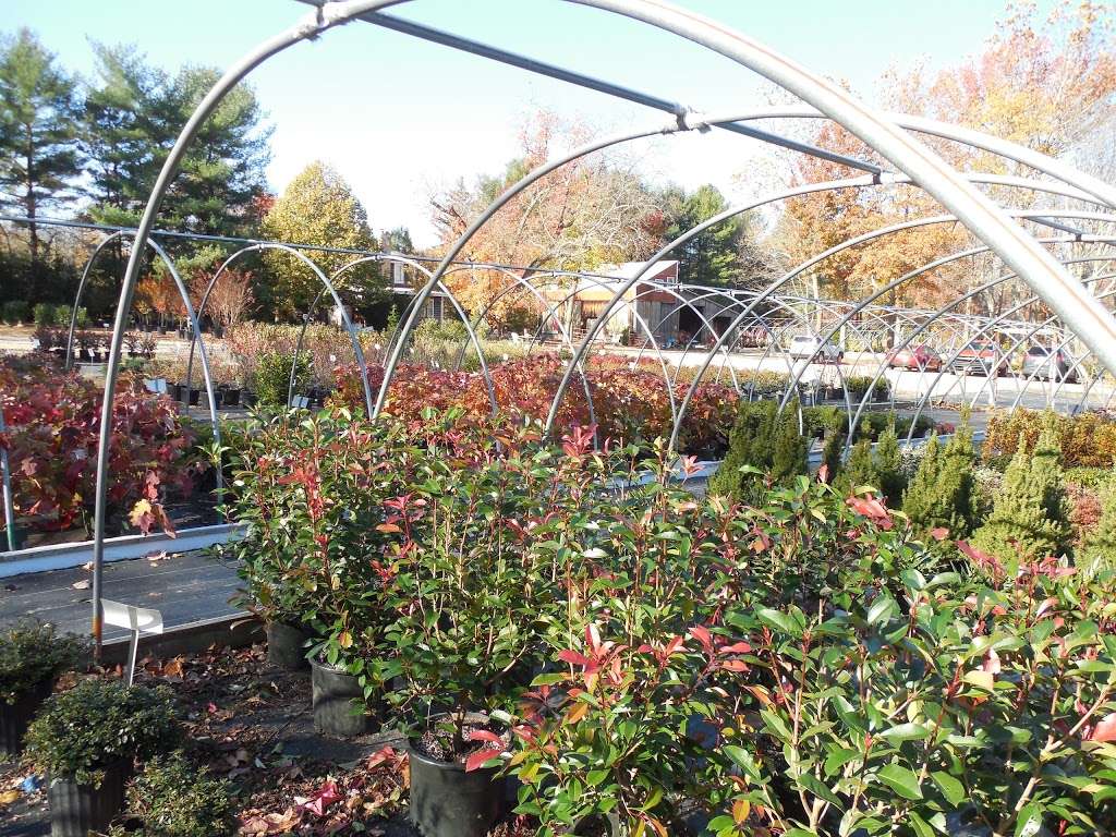 Cinnaminson Nurseries, Inc. | 1717 Ark Rd, Hainesport, NJ 08036, USA | Phone: (856) 829-2859