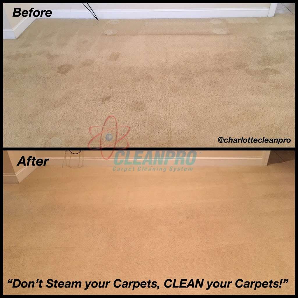 Charlotte Cleanpro - Carpet Cleaning | 317 Boyce Rd, Charlotte, NC 28211 | Phone: (980) 349-6335