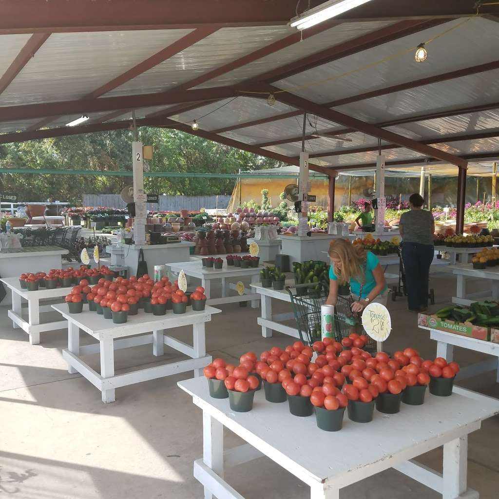 Rorabecks Plants & Produce | 5539 S Military Trail, Lake Worth, FL 33463 | Phone: (561) 964-1293