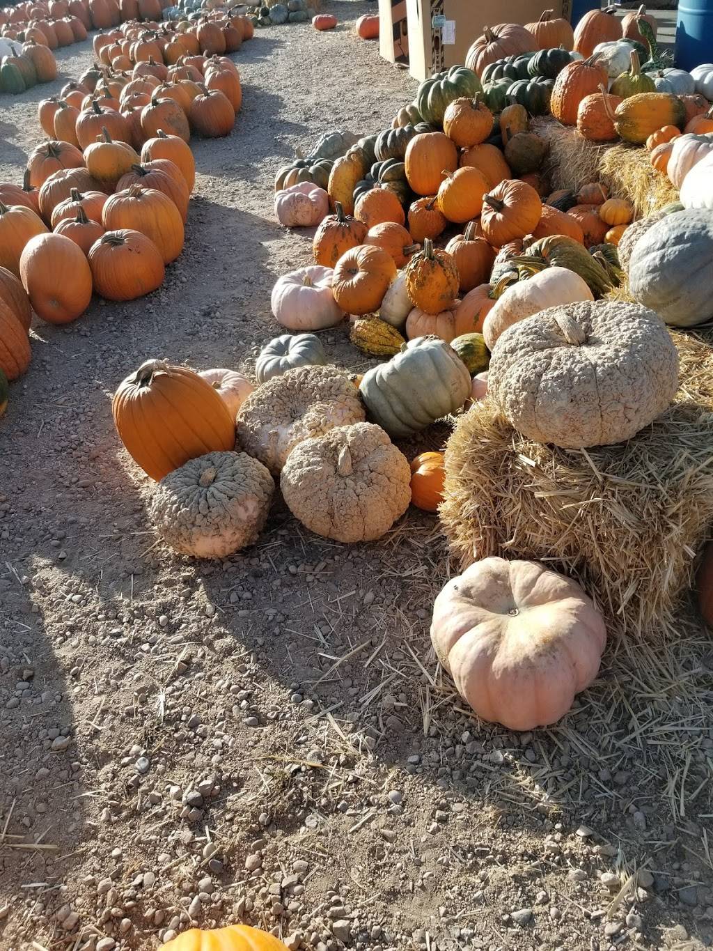 Old Fashioned Fruit and Veg | 2455 Broadway Ave, Boise, ID 83706, USA | Phone: (208) 703-5806