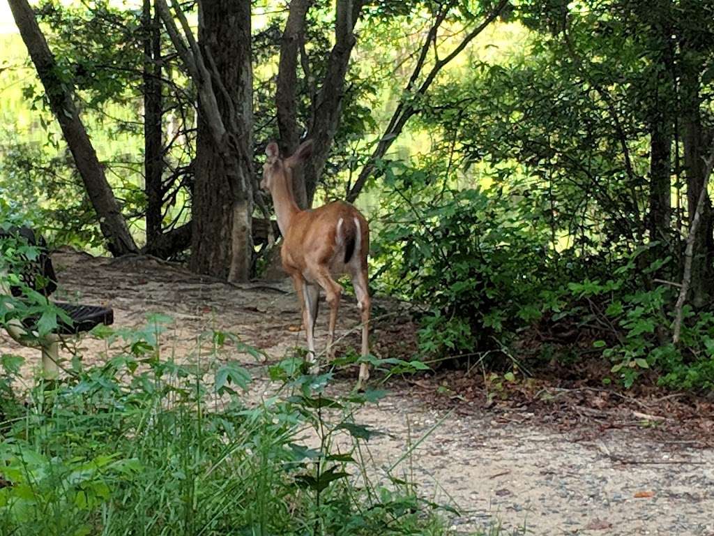 Colonel Francis Beatty Park | 4330 Weddington Rd, Matthews, NC 28105 | Phone: (704) 643-5725