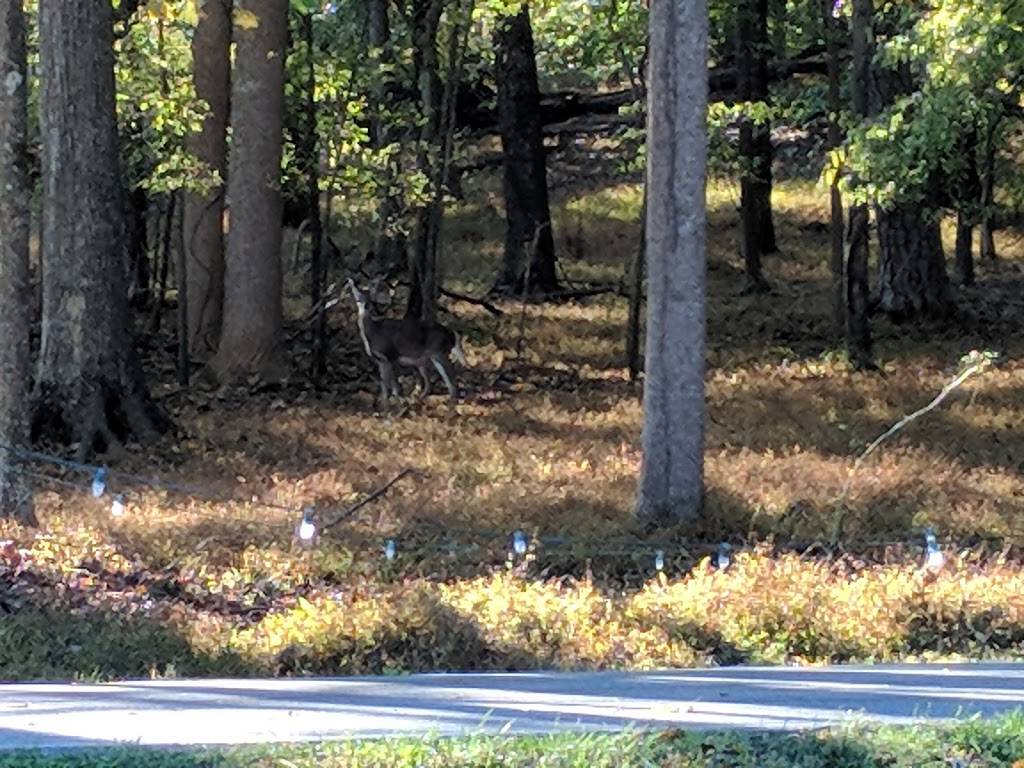 Tanglewood Park | 4061 Clemmons Rd, Clemmons, NC 27012, USA | Phone: (336) 703-6400