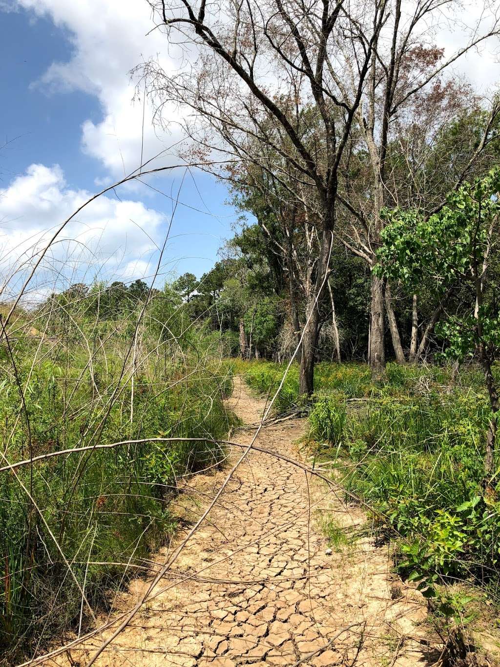 Hiking Area | Eldridge to Langham Creek, Houston, TX 77084