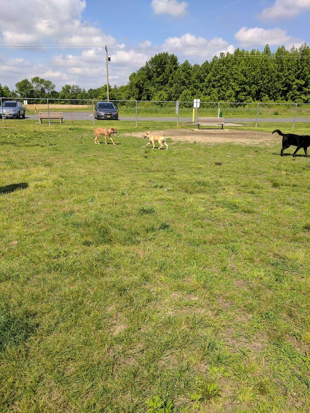 Gloucester County Dog Park | 2401 County Rd 662, Logan Township, NJ 08085, USA