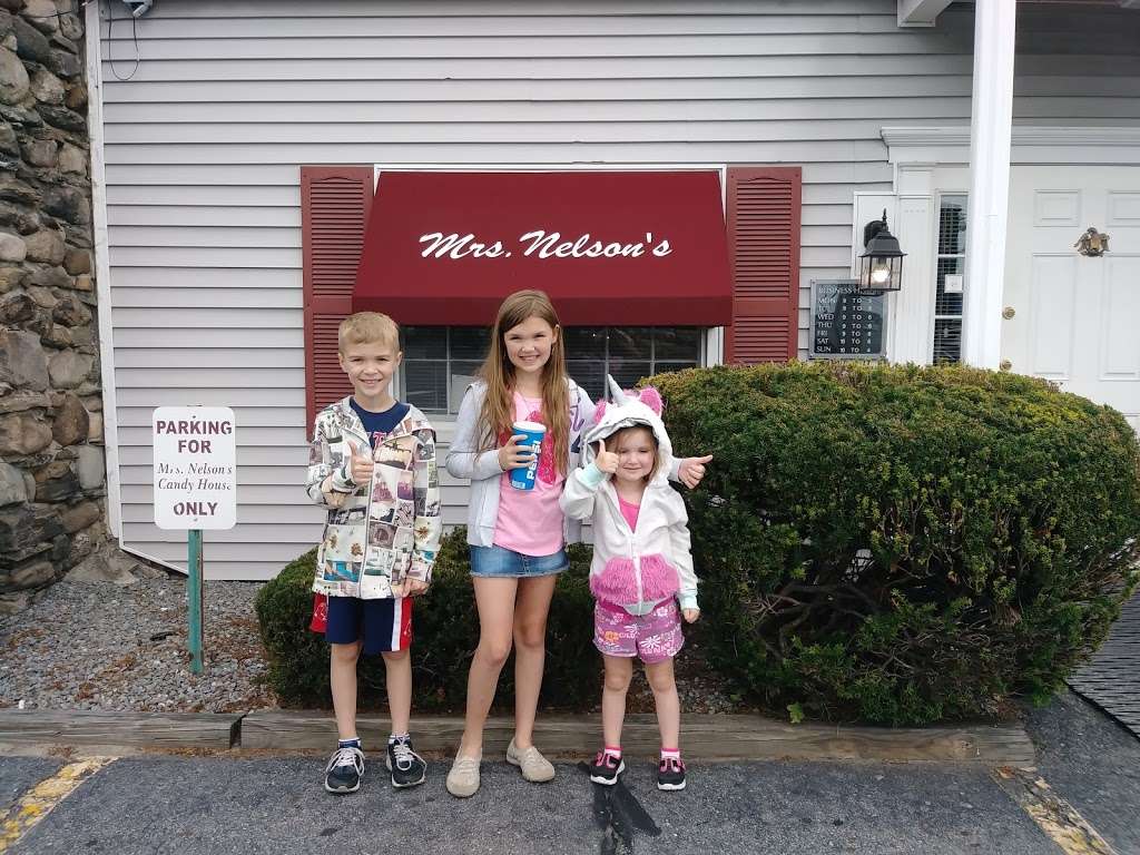 Mrs Nelsons Candy House | 292 Chelmsford St, Chelmsford, MA 01824, USA | Phone: (978) 256-4061