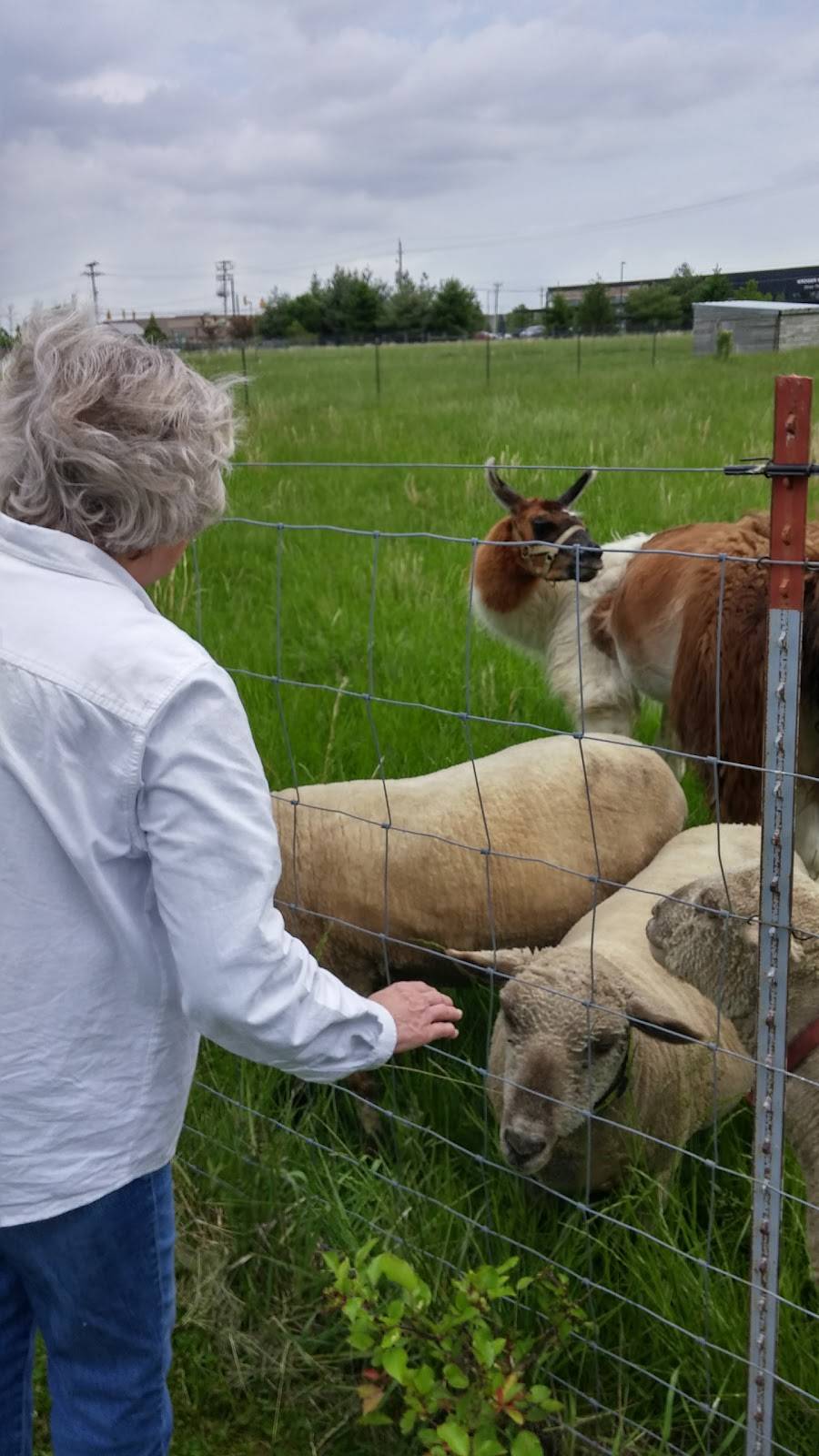 Shepherds Corner Ecology Center | 987 N Waggoner Rd, Blacklick, OH 43004 | Phone: (614) 866-4302