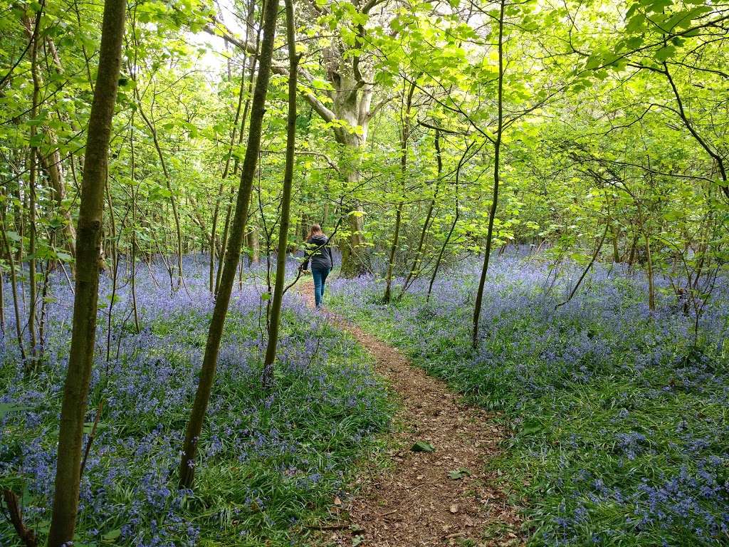 National Trust Margery Lane Parking | Margery Ln, Tadworth KT20 7EJ, UK