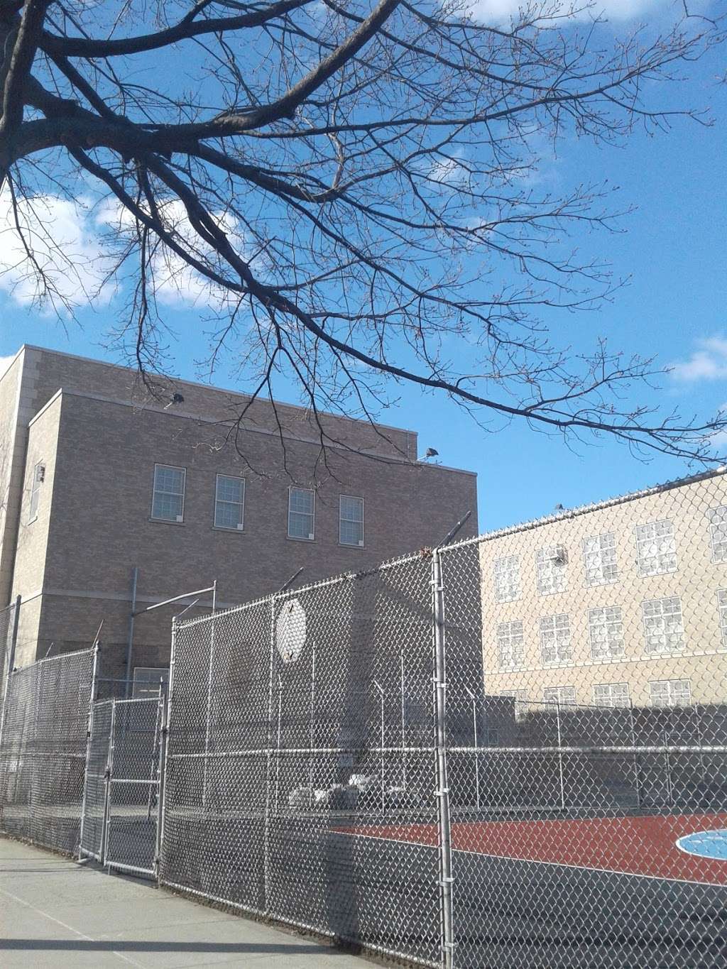 P811Q Public Shool | 114-0-114-98 202nd St, St. Albans, NY 11412, USA | Phone: (718) 776-4500