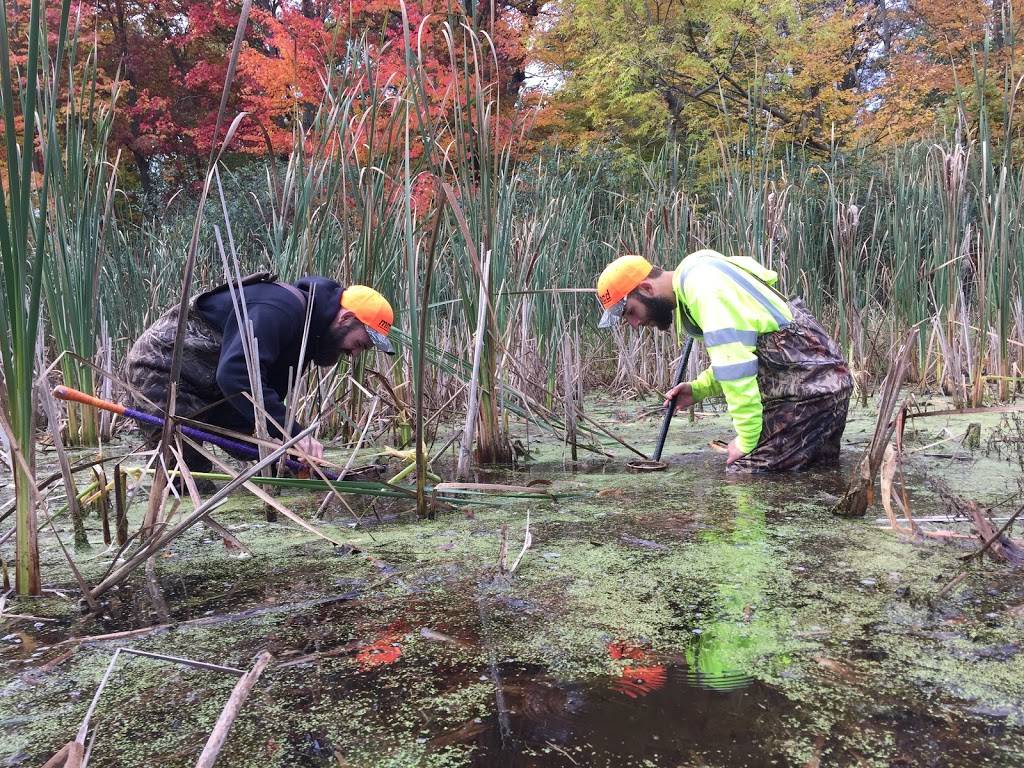 Metropolitan Mosquito Control District | 2099 University Ave W, St Paul, MN 55104, USA | Phone: (651) 645-9149