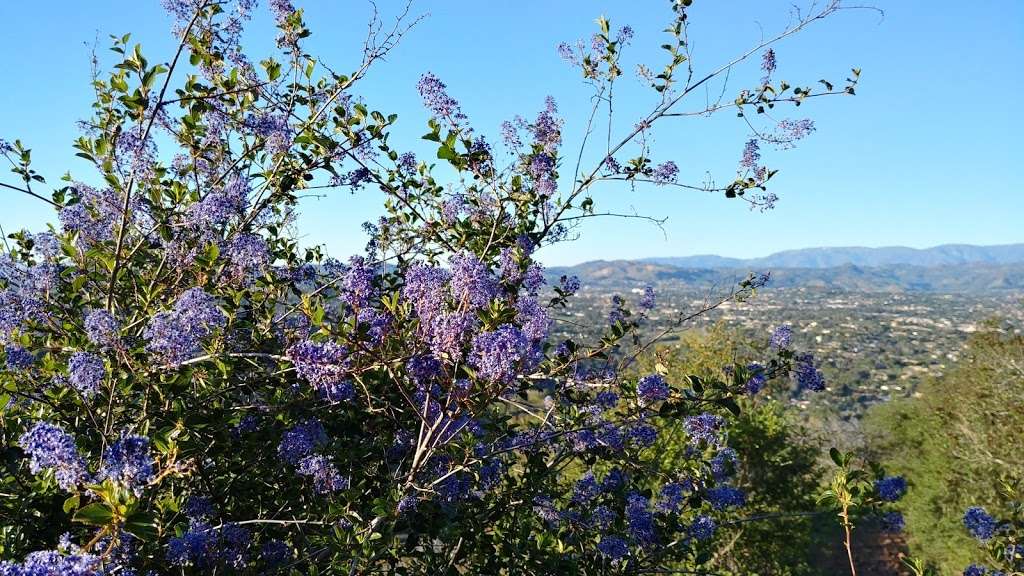 Bernardo Mountain Peak | Escondido, CA 92029