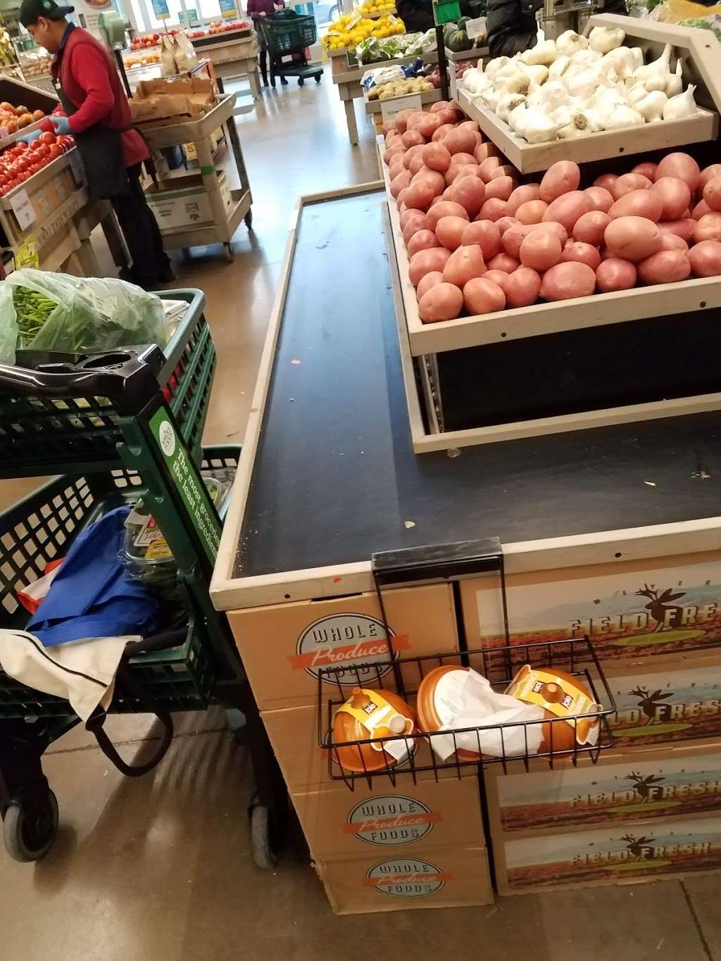 Willow Festival | 840-1090 Willow Rd, Northbrook, IL 60062, USA | Phone: (630) 645-2800 Willow Festival | 840-1090 Willow Rd, Northbrook, IL 60062, USA | Phone: (630) 645-2800