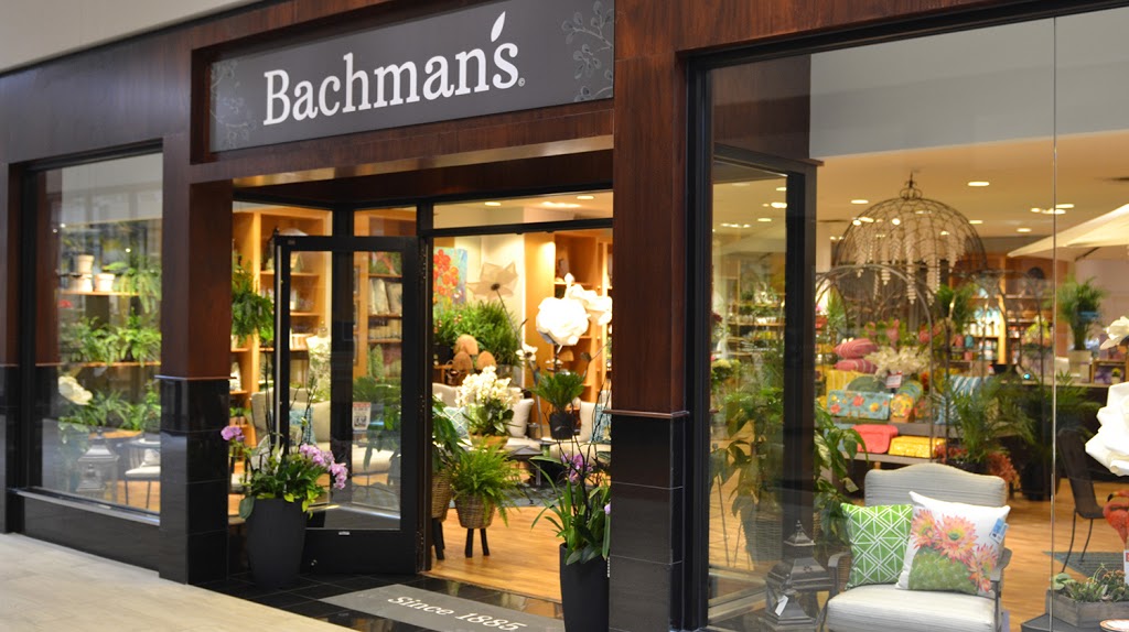 Bachmans at Galleria | 3510 Galleria #3585, Edina, MN 55435, USA | Phone: (952) 922-8910