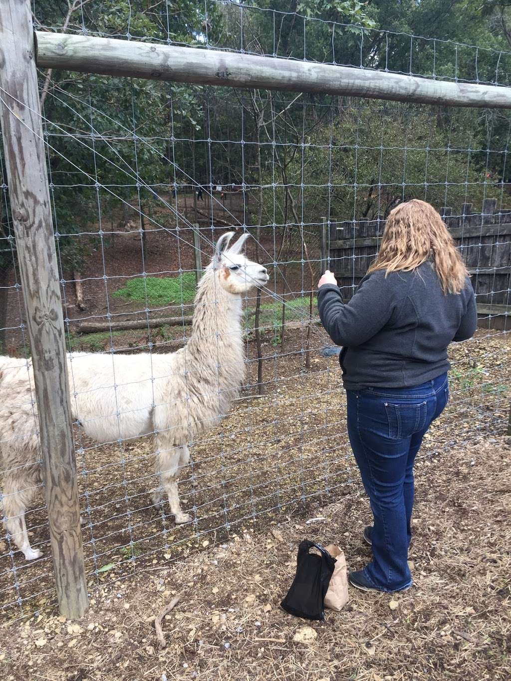 Wilsons Wild Animal Park | 985 W Parkins Mill Rd, Winchester, VA 22602, USA