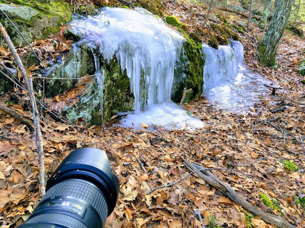 Noon Hill Reservation | Medfield, MA 02052, USA