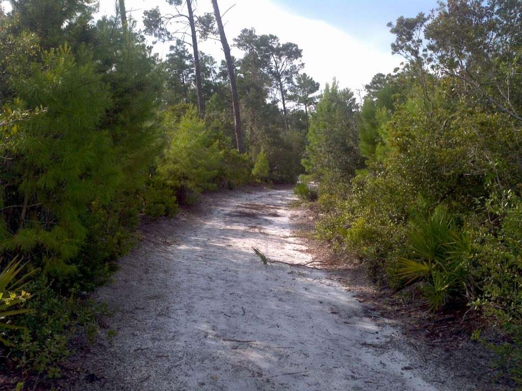 St Cloud Forestry Station | 6490 Old Melbourne Hwy, St Cloud, FL 34771, USA | Phone: (407) 892-8963